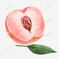 快播app