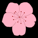 黄页网站APPAPP应用